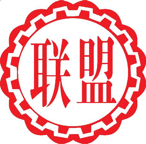 山东联盟化工集团有限公司