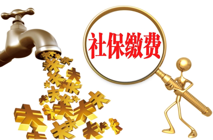 文章插图